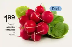 Avril Québec radis bios en feuilles offer