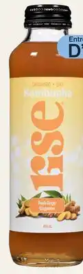 Avril Rise kombucha bio offer