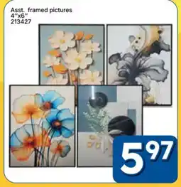 Rossy Asst. framed pictures offer