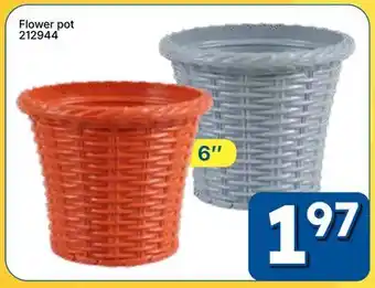 Rossy Flower pot offer