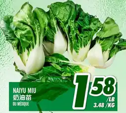 Marché Lian Tai NAIYU MIU 奶油苗 DU MEXIQUE offer
