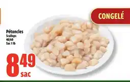 Bonanza Scallops offer