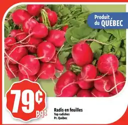 Bonanza Radis en feuilles offer