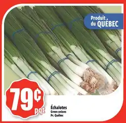 Bonanza Green Onions offer
