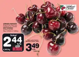 Marches Tradition CERISES ROUGES offer