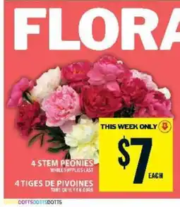 Food Basics 4 Stem Peonies offer