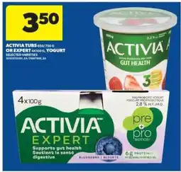 Real Canadian Superstore ACTIVIA TUBS 650/750G OR EXPERT 4X100G, YOGURT offer