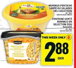 Food Basics Hummus Fontaine Santé or Selection Deli Salads offer