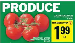 Food Basics TOMATOES ON THE VINE offer