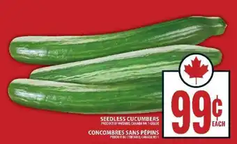 Food Basics SEEDLESS CUCUMBERS offer