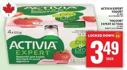 Food Basics ACTIVIA EXPERT YOGURT offer