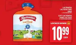 Food Basics LACTANTIA LACTOSE FREE MILK offer