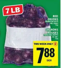 Food Basics RED ONIONS offer