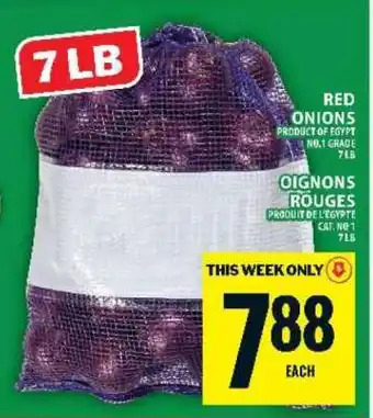 Food Basics RED ONIONS offer