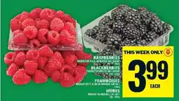 Food Basics Raspberries and Blackberries offer