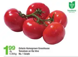 Highland Farms Ontario Homegrown Greenhouse Tomatoes on the Vine offer