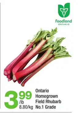 Highland Farms Ontario Homegrown Field Rhubarb offer