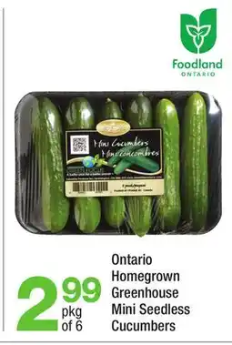 Highland Farms Ontario Homegrown Greenhouse Mini Seedless Cucumbers offer