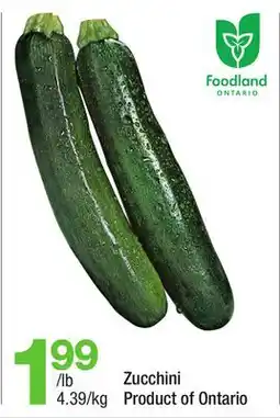Highland Farms Zucchini offer