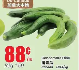 Btrust Supermarket Concombre Frisé offer