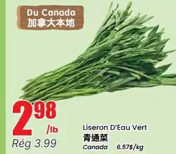 Btrust Supermarket Liseron D'Eau Vert offer