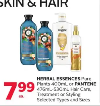 Rexall HERBAL ESSENCES Pure Plants 400mL or PANTENE 476mL-530mL Hair Care, Treatment or Styling offer
