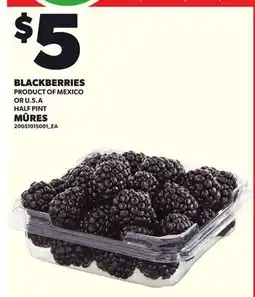 Independent City Market BLACKBERRIES offer