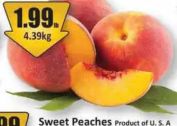 Starsky Sweet Peaches offer