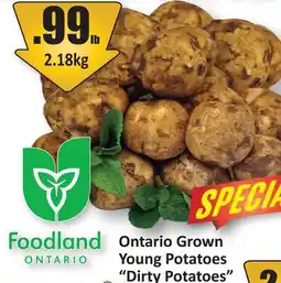 Starsky Ontario Grown Young Potatoes Dirty Potatoes offer