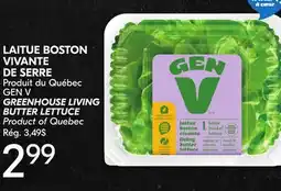 IGA GEN V GREENHOUSE LIVING BUTTER LETTUCE offer