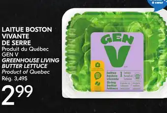 IGA GEN V GREENHOUSE LIVING BUTTER LETTUCE offer