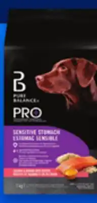 Walmart Pure Balance dry dog food offer