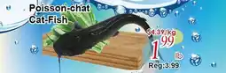 Marche C&T Cat-Fish offer