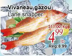 Marche C&T Vivaneau gazou offer