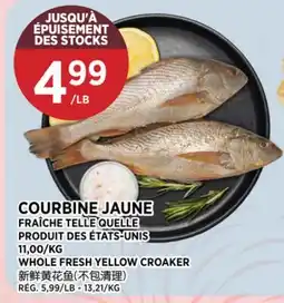 Kim Phat WHOLE FRESH YELLOW CROAKER offer