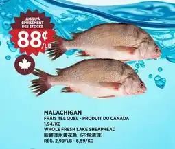 Kim Phat WHOLE FRESH LAKE SHEAPHEAD offer