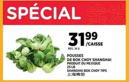 Kim Phat SHANGHAI BOK CHOY TIPS offer