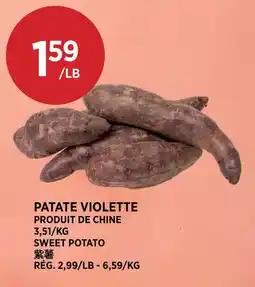 Kim Phat SWEET POTATO offer