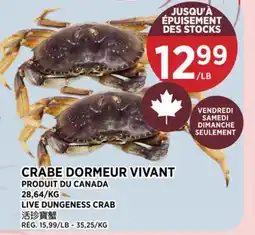 Kim Phat LIVE DUNGENESS CRAB offer
