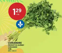 Kim Phat CORIANDER offer