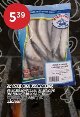 Kim Phat MARCO POLO FROZEN LARGE SARDINES offer