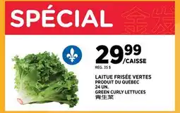 Kim Phat GREEN CURLY LETTUCES offer