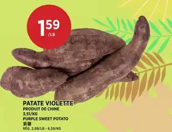 Kim Phat PURPLE SWEET POTATO offer