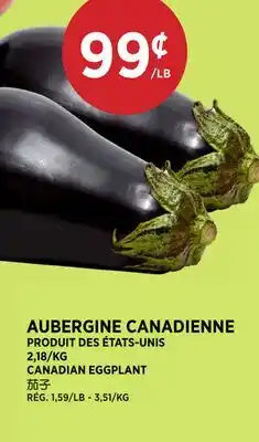 Kim Phat CANADIAN EGGPLANT offer