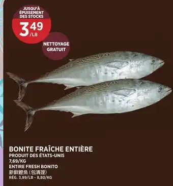 Kim Phat ENTIRE FRESH BONITO offer