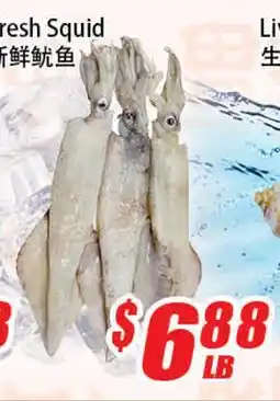 WinCo Food Mart Fresh Squid offer