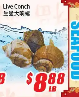 WinCo Food Mart Live Conch offer