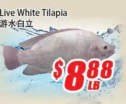 WinCo Food Mart Live White Tilapia offer