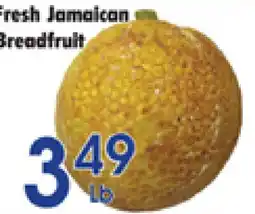 Danforth Food Market Fresh Jamaican Breadfruit offer