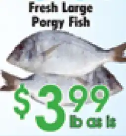 Danforth Food Market Fresh Large Porgy Fish offer